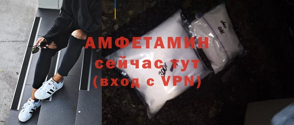 ешки Горняк