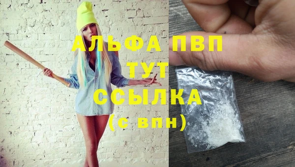стафф Горнозаводск