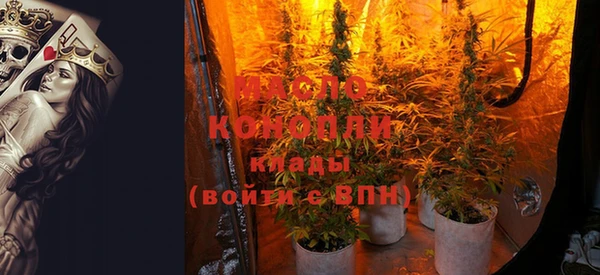 ешки Горняк