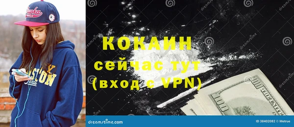 ешки Горняк